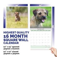 Border Terrier Kalender 2026 - thumbnail