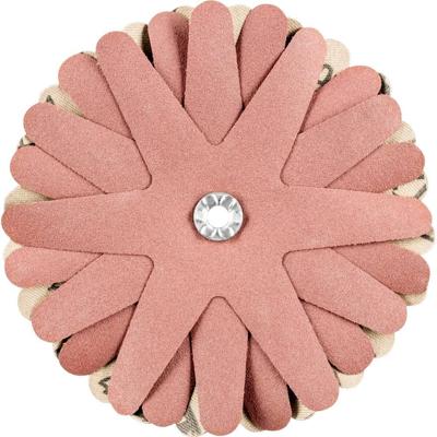 PFERD TOOLS 42732169 Schuurster Diameter 100 mm 10 stuk(s)