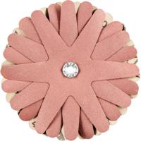 PFERD TOOLS 42732169 Schuursterren Diameter 100 mm 10 stuk(s) - thumbnail