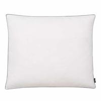 VidaXL Kussens 2 st licht 70x60 cm dons-/verenvulling wit - thumbnail
