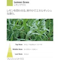 Millefiori Milano reed diffuser 100 ml lemon grass - thumbnail