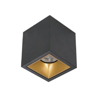 Spot BWS Daniel Aluminium 745Lm 9,2W Zwart Met Gouden Anti-Glare Ring