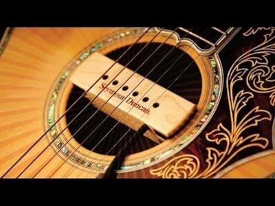 Seymour Duncan SA-3HC Woody Hum Cancelling Walnut klankgat element - thumbnail