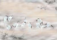 Noordwand Komar Ink Fotobehang Fulfillness - INX8-054 - thumbnail