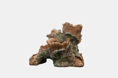 Sf scapers wood planty s Superfish - Superfish