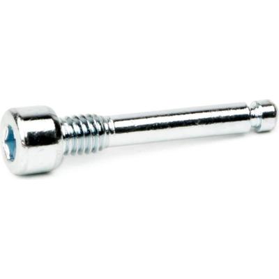 Elvedes Ds bevestigingsbout m4x22 (10)