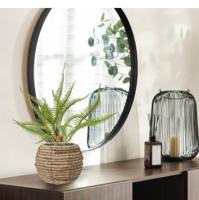 Sticherus Lobatus Kunst Varen 35cm - thumbnail