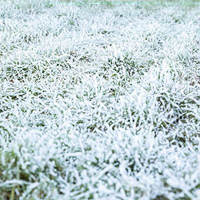 BeamZ Rage 1000 sneeuwmachine met draadloze afstandsbediening