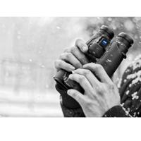 Zeiss 10x42 SF Victory - thumbnail