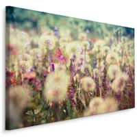Schilderij - Weide bloemen , Wanddecoratie , Premium print - thumbnail