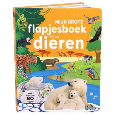 Mijn grote flapjesboek van alle dieren (Hardback)