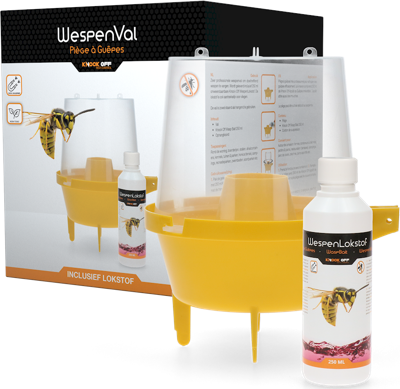 Knock Pest Wespenval Knock Pest Wespenval