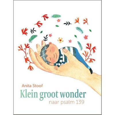 Klein groot wonder (Hardback) Klein groot wonder (Hardback)