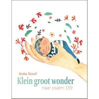 Klein groot wonder (Hardback) - thumbnail