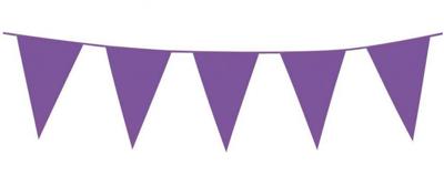 Mini Vlaggenlijn Paars (3m)