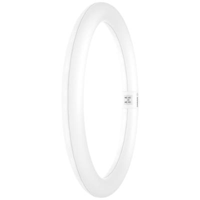 OSRAM HOMELIGHTING LED-buis-Ring Energielabel: E (A - G) G10q 18.3 W = 32 W Neutraalwit 1 stuk(s) (Ø x l) 300 mm x 300 mm