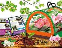Botanie Ontdekking - Wetenschappelijke Kit - IK BEN EEN GENIUS POCKET - Miniatuurkas, Botanische Experimenten - thumbnail