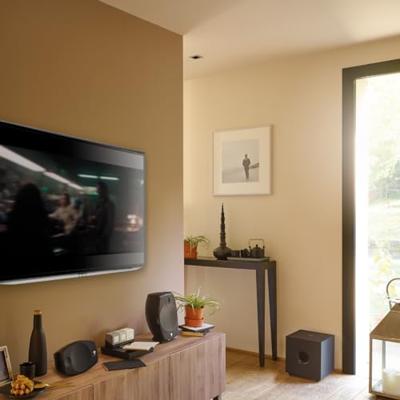 Focal: Cub Evo Subwoofer - Zwart