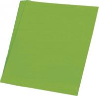 Haza Original etalagekarton fluor 48 x 68 cm 10 vel groen - thumbnail