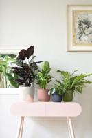 elho bloempot vibes fold rond d16 h15cm Varengroen - thumbnail