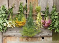 Bosjes kruiden 70x50cm Tuinschilderij Customize-it - Customize it - thumbnail