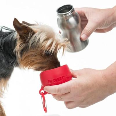 KONG H2O roestvrij staal hond waterfles & huisdier reizen kom, 9.5 oz - blauw