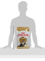 Royal Canin Adult Persian kattenvoer 4 kg - thumbnail