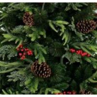 Kerstboom Home ESPRIT Rood Groen PVC - thumbnail