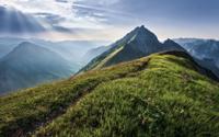 Noordwand Komar Pure Fotobehang Green Vein - PSH093-VD4 - thumbnail