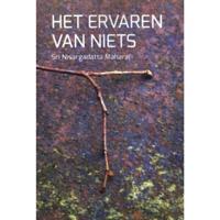 Het ervaren van niets (Paperback) - thumbnail