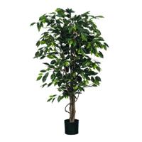 Kunstplant mica ficus groen in pot | 2 stuks - thumbnail