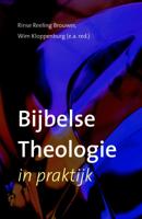 Bijbelse theologie in praktijk - Rinse Reeling Brouwer, Wim Kloppenburg (red.) - ebook - thumbnail