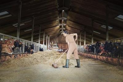 OSRAM HOMELIGHTING Highbay Ufo 130W 865 IP65 Black 4099854429330 LED-halverlichting 130.00 W Zwart OSRAM HOMELIGHTING Highbay Ufo 130W 865 IP65 Black 4099854429330 LED-halverlichting 130.00 W Zwart