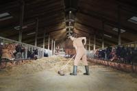 OSRAM HOMELIGHTING Highbay Ufo 130W 865 IP65 Black 4099854429330 LED-halverlichting 130.00 W Zwart - thumbnail