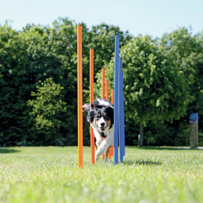 TRIXIE Agility-Slalomstangen Fun Agility, blauw/oranje - thumbnail