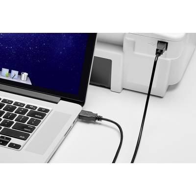 Renkforce USB-kabel USB 2.0 USB-A stekker, USB-B stekker 0.50 m Zwart Vergulde steekcontacten RF-4463067