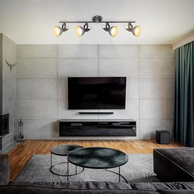 Briloner Wand- en plafondlamp (4 plek)