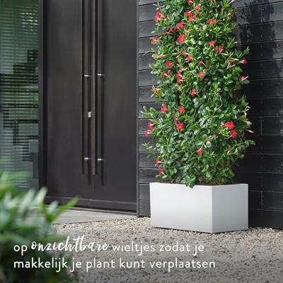 Elho Vivo Next plantenbak met wielen 80cm wit