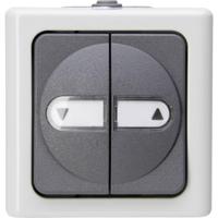 Kopp 560956012 BlueElectric Compleet Jaloezie-knop spatwaterdicht Grijs 1 stuk(s) - thumbnail