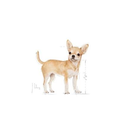 Royal Canin Chihuahua Adult hondenvoer 1.5kg