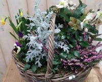 XL mand plantenbak buiten Warentuin Natuurlijk - Warentuin natuurlijk - thumbnail