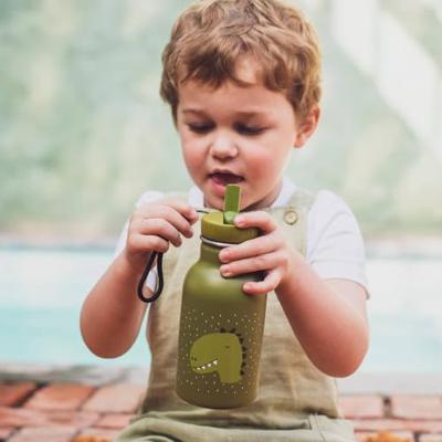 Trixie drinkfles mr. dino, 350ml