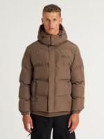 CHASIN&apos; Jassen Nebula - thumbnail