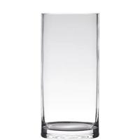 Hakbijl Glass Vaas - cilinder - glas - transparant 12 x 35 cm - thumbnail