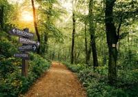 Discovery kopieerpapier ft A4, 75 g, pak van 500 vel - thumbnail