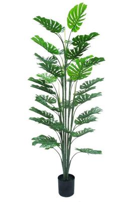 Monstera kunstplant 160 cm - tropisch Zuid-Amerika