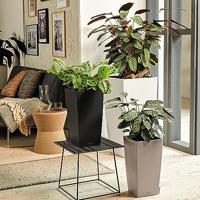 Bloempot Lechuza - thumbnail