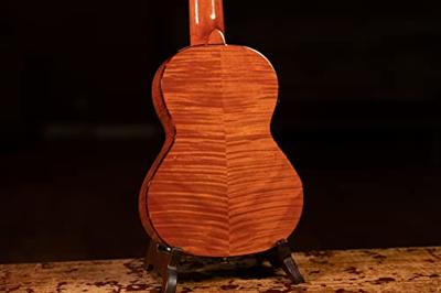 Ortega Tiger Series RGLE18FMH Guitarlele met gigbag