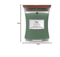 Woodwick Mint Leaves & Oak Medium Candle - thumbnail