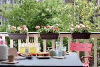 Elho Barcelona balkonbak 40cm honinggeel - thumbnail